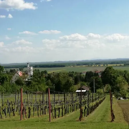 Kokoro شقة Bogojina